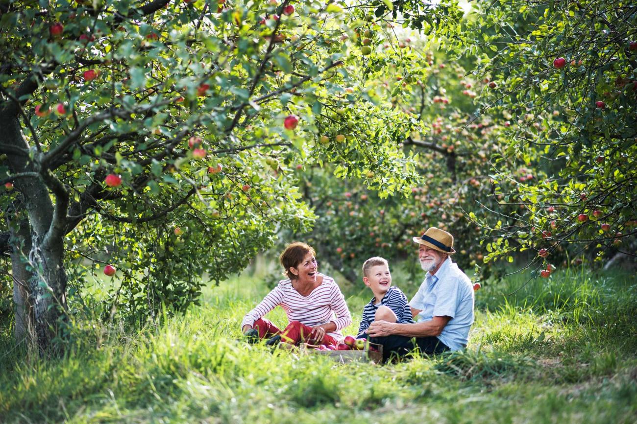 Who We Serve Financial Services | Collective Family Office